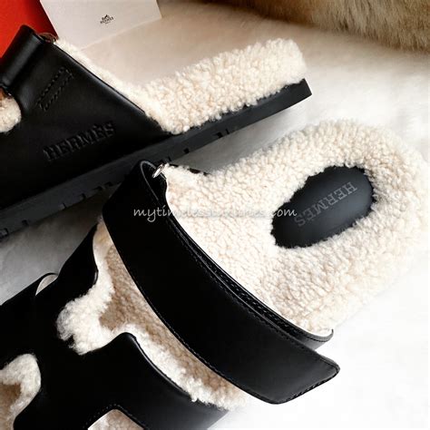 hermes chypre teddy